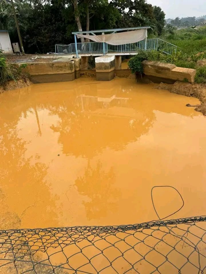 Abuakwa South MP to Embark on Media Tour of Galamsey Sites Over Birim River Pollution